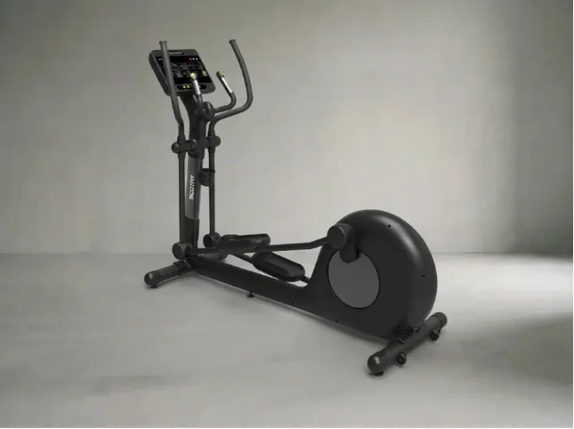 Elliptical Monami