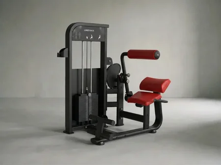 Lower Back | Rückenmaschine x 100 kg
