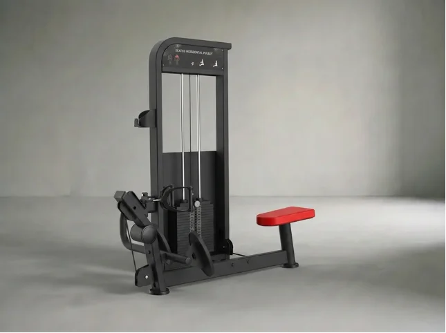 Rower | Ruderzug x100kg