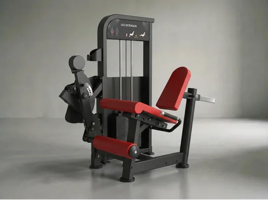 Leg Extension | Beinstrecker x 100kg