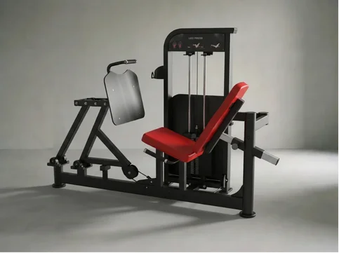 Leg Press | Beinpresse x 120kg