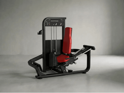 Calf Extension | Wadenpresse x 100kg