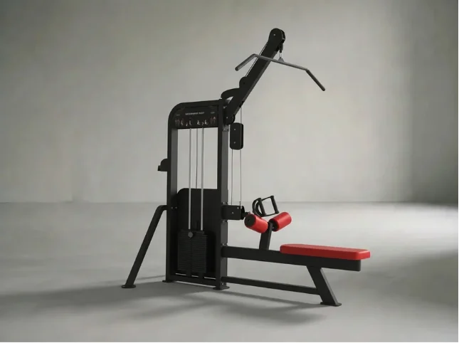 DUAL Ruder- & Latzug x 100kg