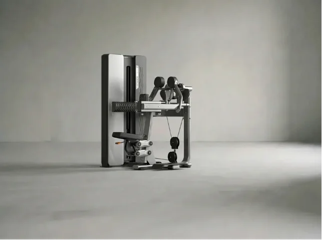 Delts Machine | Seitheben
