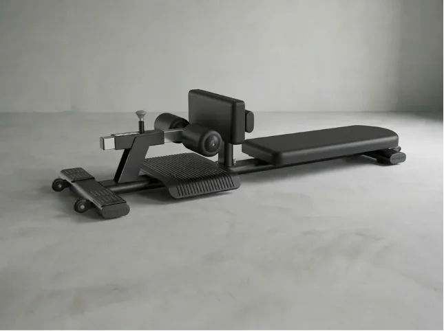Squat Bench / Sissy Squat