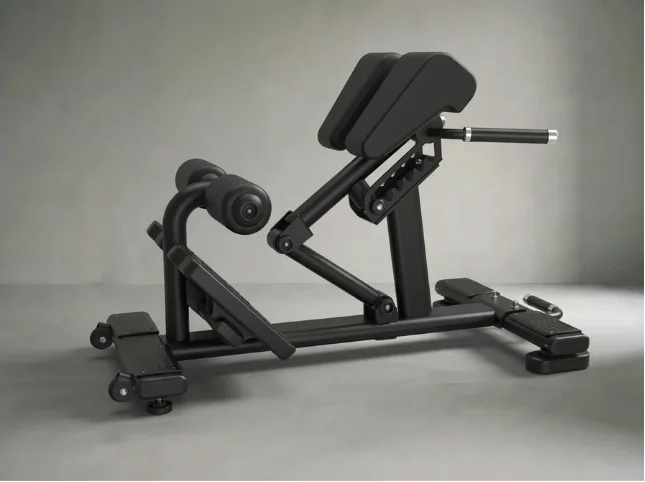 Back Extension Bench | Rückenstrecker