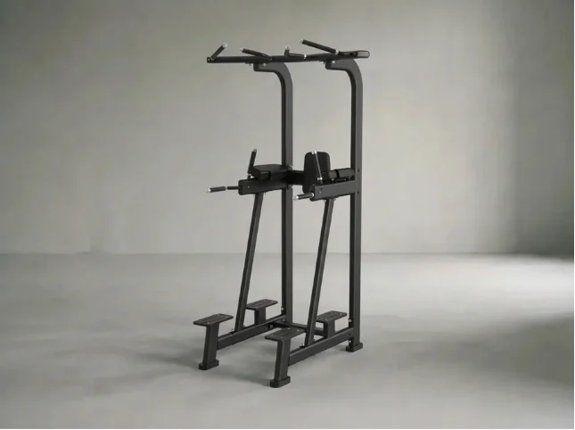 Vertical Knee Raise | Kniehebestation