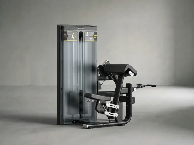 Bicep Curl | Bizepsmaschine