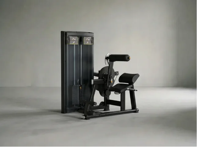 DUAL Abdominal/Lower Back | Bauch Maschine/Rückenstrecker