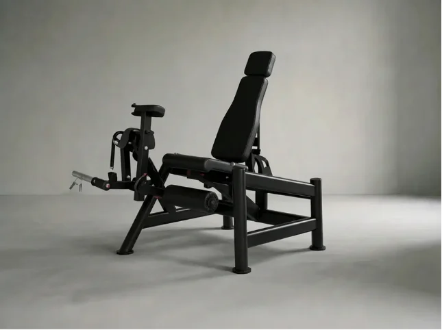Leg Extension