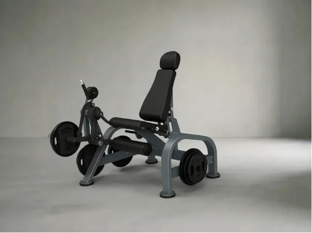 Leg Extension
