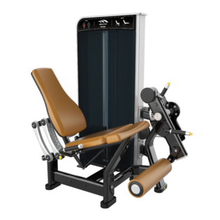 Leg Extension