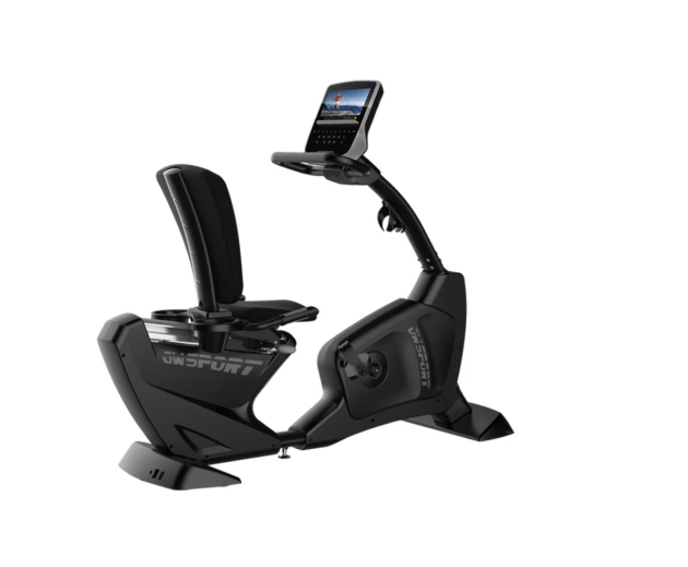 JW Recumbent Bike
