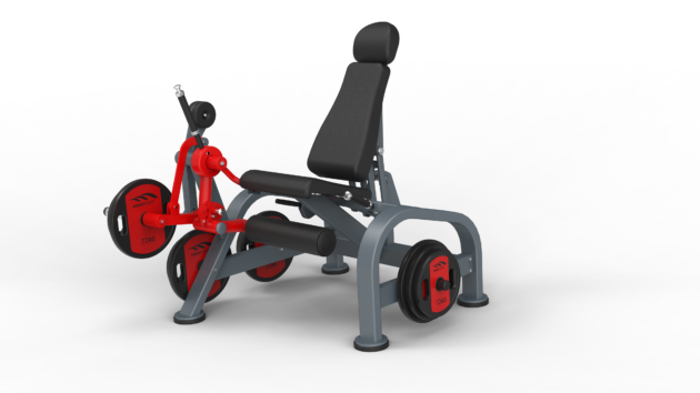 Leg Extension