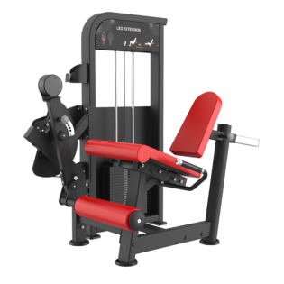 Leg Extension AT(FIBO)