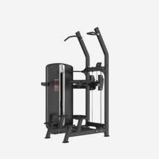 Assisted Chin/Dip ACF (FIBO)