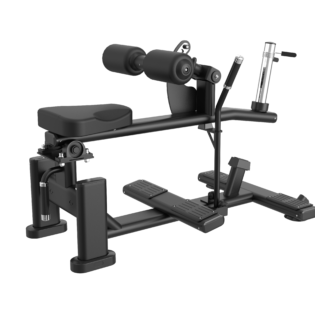Seated Calf Machine